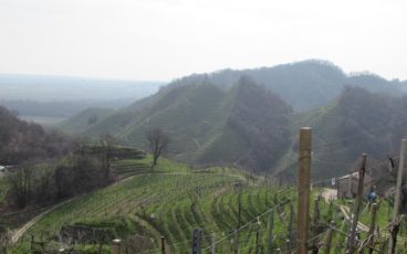 Nordic Walking fra Col San Martino, Col Moliana, Col Mongarda