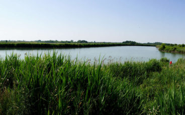 Altino-Zero-Sile