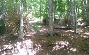 Nordic Walking Arte Sella