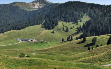 nordic walking monte grappa
