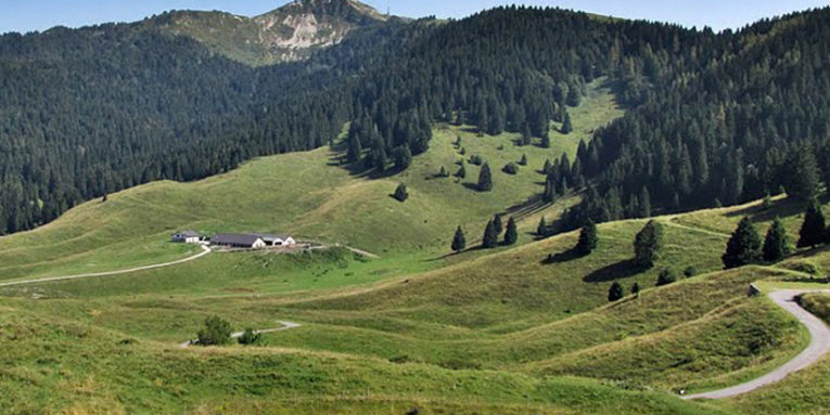 nordic walking monte grappa