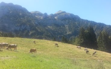 nordic walking Val Piana