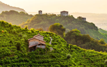 nordic walking cantine aperte