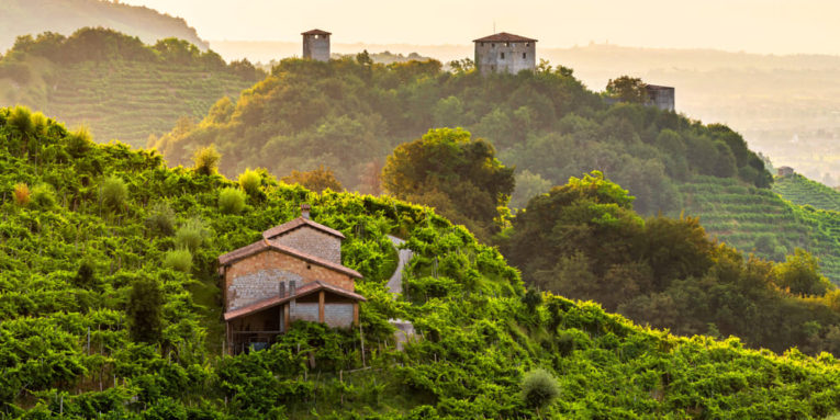 nordic walking cantine aperte