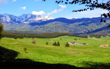 nordic walking cansiglio