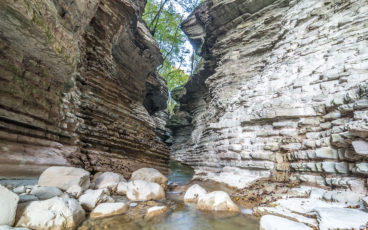 Camminata Nordic Walking Brent de l'Art