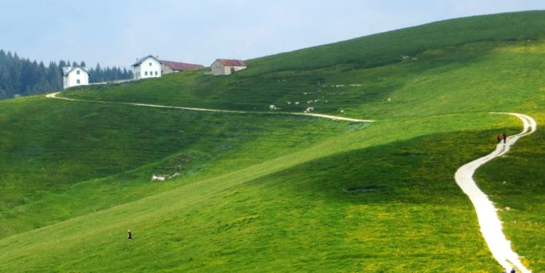 Camminata Nordic Walking altopiano di Asiago