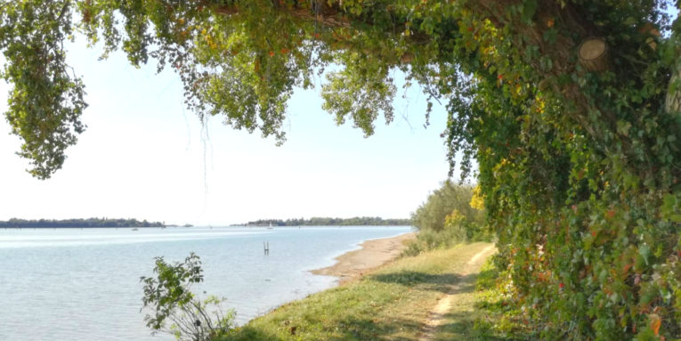 Nordic Walking Sant'Erasmo Venezia