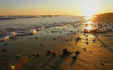 nordic walking brussa