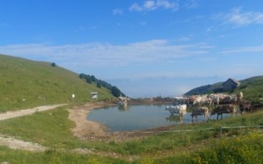 Malga Mariech