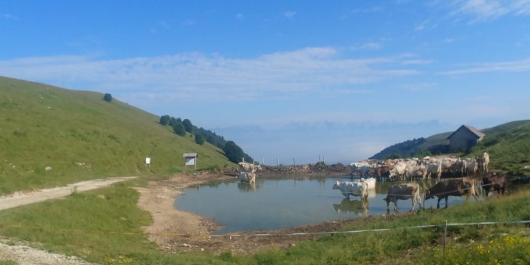 Malga Mariech