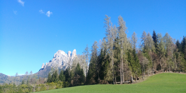 nordic walking a Suoni delle Dolomiti con Malika Ayane