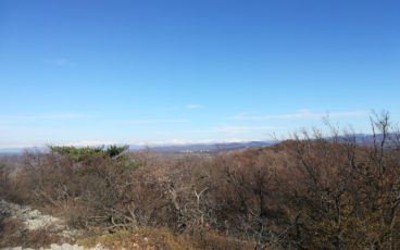 nordic walking san martino del carso