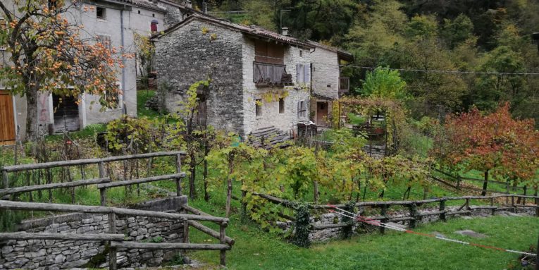 camminata nordic walking segusino