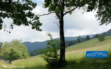 nordic walking nevegal - col visentin