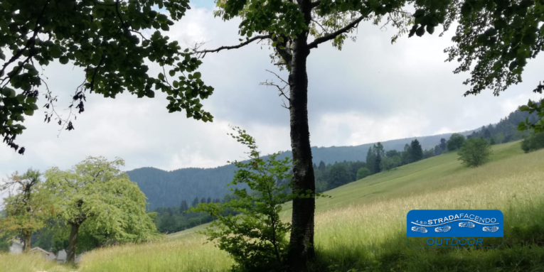 nordic walking nevegal - col visentin