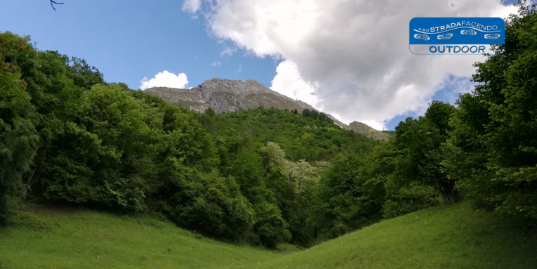 nordic walking pendici del monte Dolada