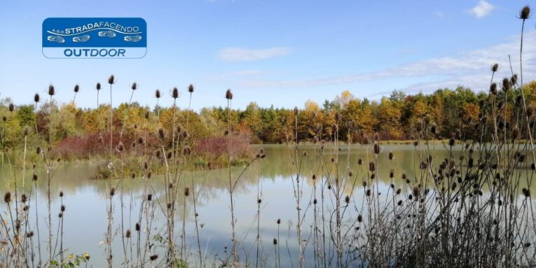 nordic walking Bosco di Bandiziol e Prassaccon