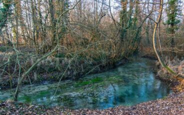 Nordic walking sorgenti del Sile