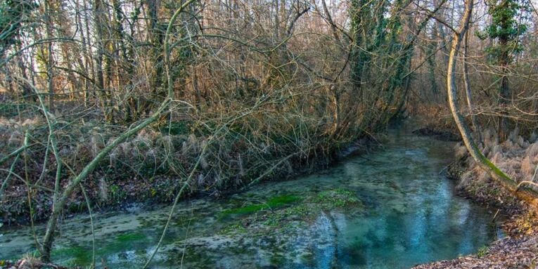 Nordic walking sorgenti del Sile