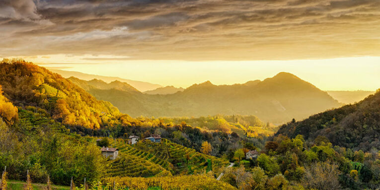 camminata colline prosecco unesco (Foto: Arcangelo Piai)