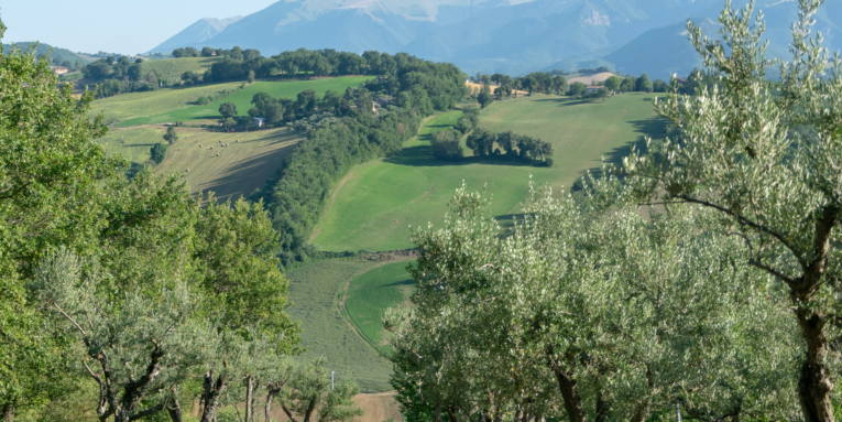 nordic walking monti sibillini
