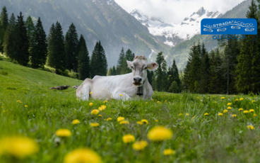 nordic walking valmorel