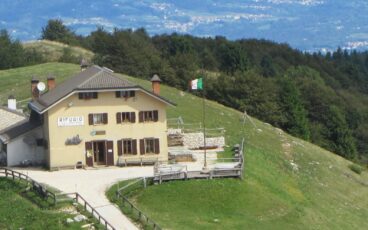 POSA PUNER NORDIC WALKING