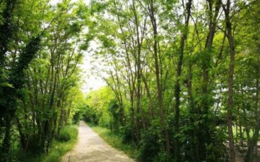 nordic walking Treviso Ostiglia