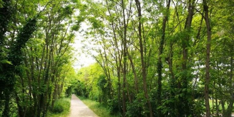 nordic walking Treviso Ostiglia