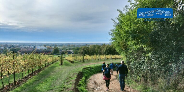 camminata nordic walking Montello