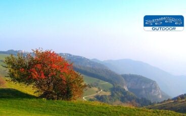 nordic walking Anello Moschina bassa