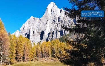 camminata nordic walking Anello Cimerlo