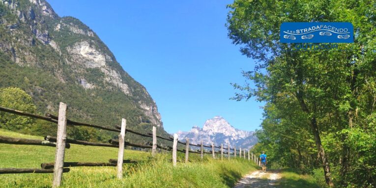 Camminata Nordic Walking Parco nazionale delle Dolomiti Bellunesi prati di Salet in Val Cordevole
