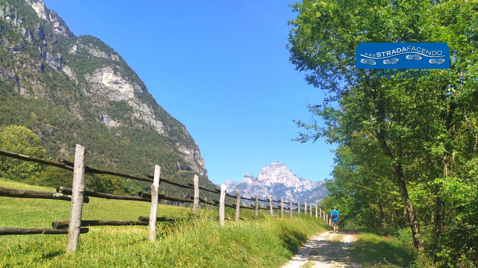 Camminata Nordic Walking Parco nazionale delle Dolomiti Bellunesi prati di Salet in Val Cordevole