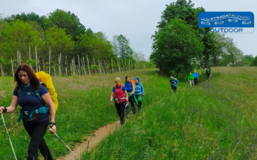 nordic walking montello