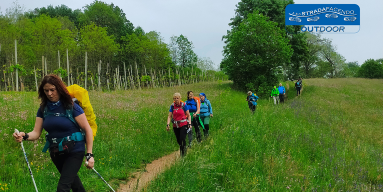 nordic walking montello