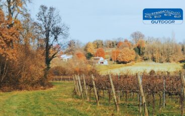 nordic walking monticano