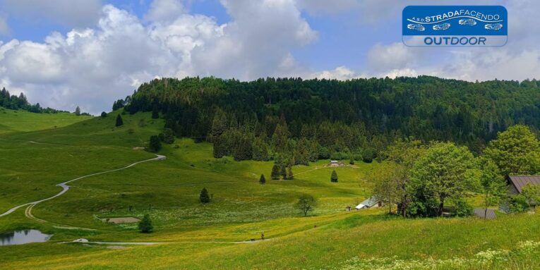 bosco degli eroi nordic walking