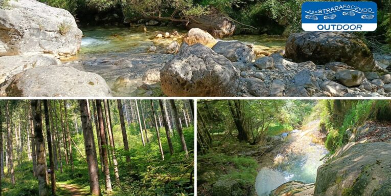 nordic walking valle di san martino