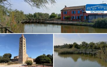 delta del po oasi abbazia pomposa